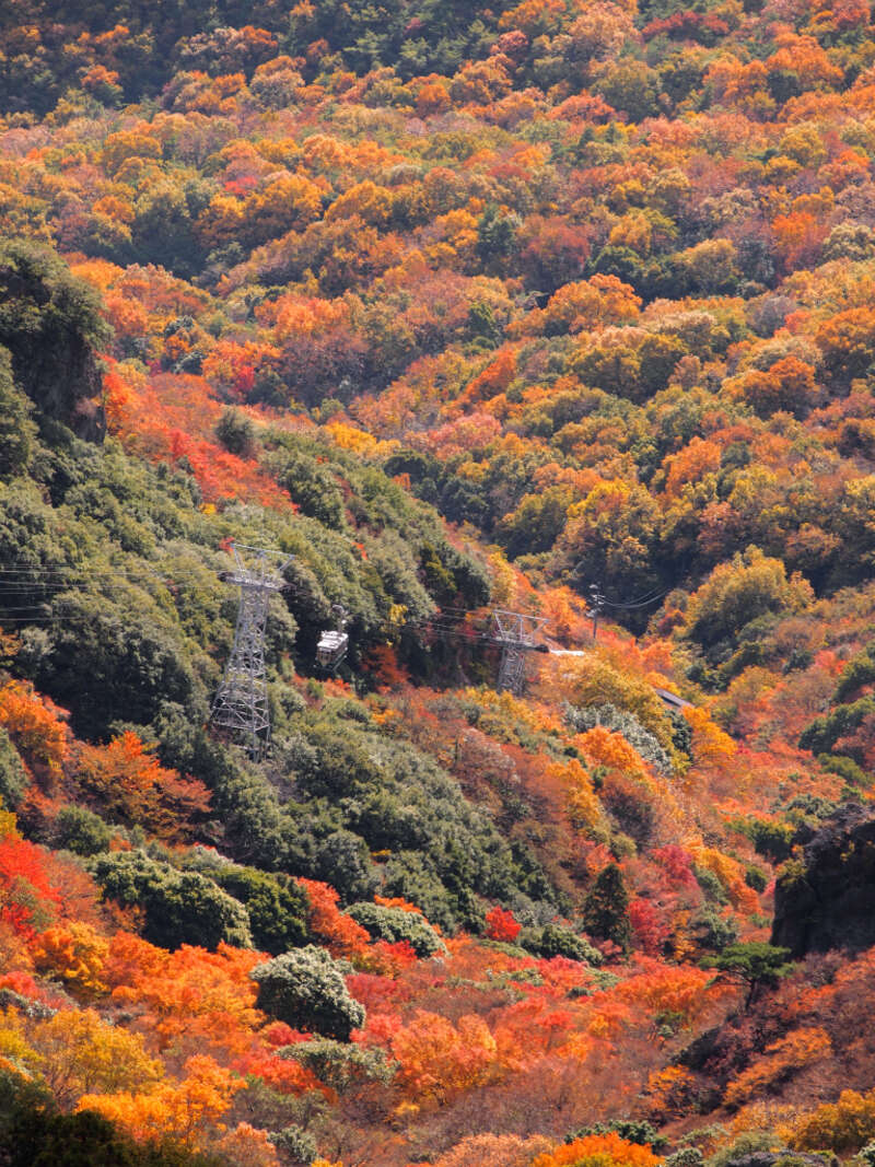 バス 旅行 ストア 広島 発