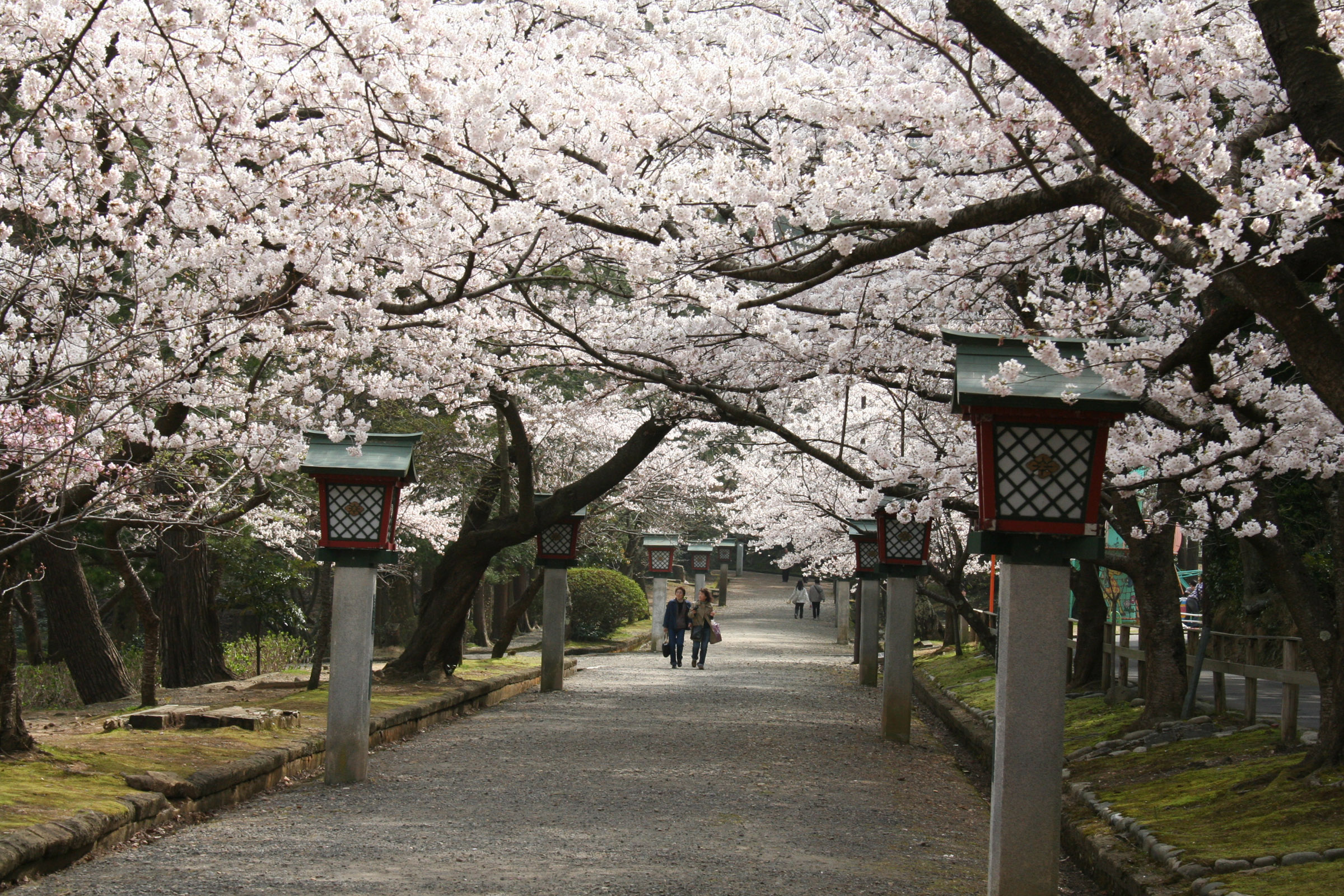 弥彦公園（新潟県）