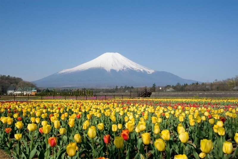 花の都公園（イメージ）　画像提供：花の都公園