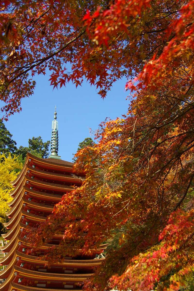談山神社　　施設提供