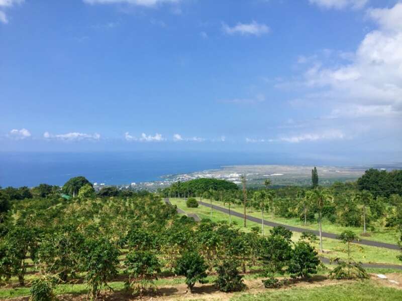 上島珈琲／UCCハワイ（イメージ）　PIXTA 