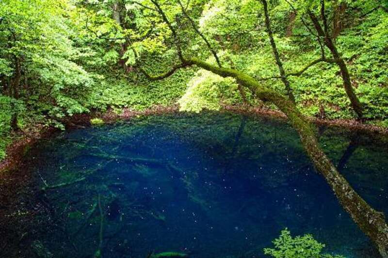 白神山地