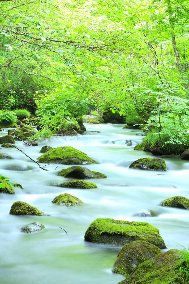 ピクスタ（イメージ）　画像提供：初夏の奥入瀬渓流