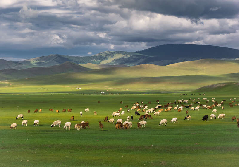 モンゴル（イメージ）　提供：（株）ジャパン・エア・トラベル・マーケティング