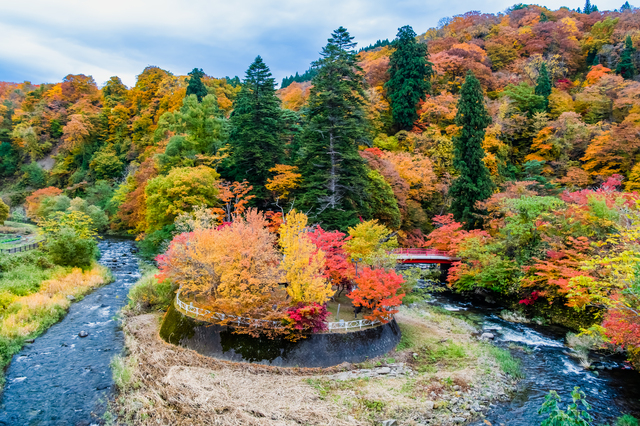 中野もみじ山