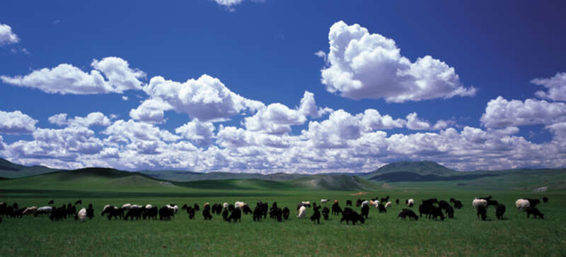 モンゴル（イメージ）　PIXTA